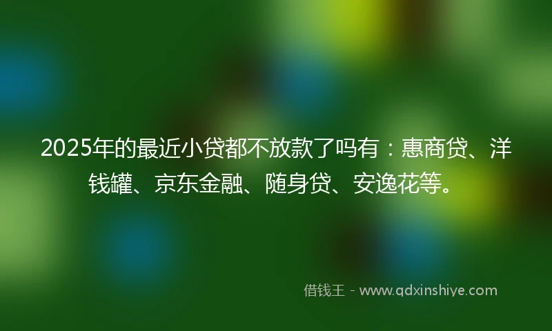 2025年的最近小贷都不放款了吗有:惠商贷、洋钱罐、京东金融、随身贷、安逸花等。