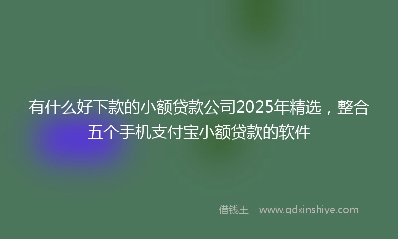 有什么好下款的小额贷款公司2025年精选，整合五个手机支付宝小额贷款的软件