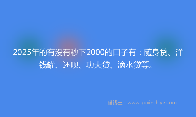 2025年的有没有秒下2000的口子有：随身贷、洋钱罐、还呗、功夫贷、滴水贷等。