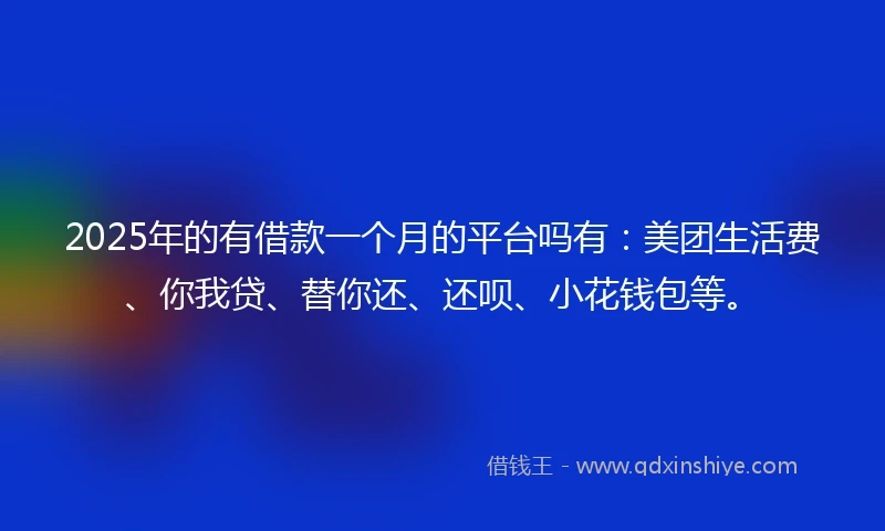 2025年的有借款一个月的平台吗有：美团生活费、你我贷、替你还、还呗、小花钱包等。