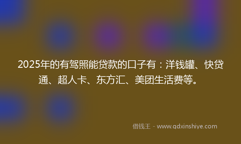 2025年的有驾照能贷款的口子有：洋钱罐、快贷通、超人卡、东方汇、美团生活费等。