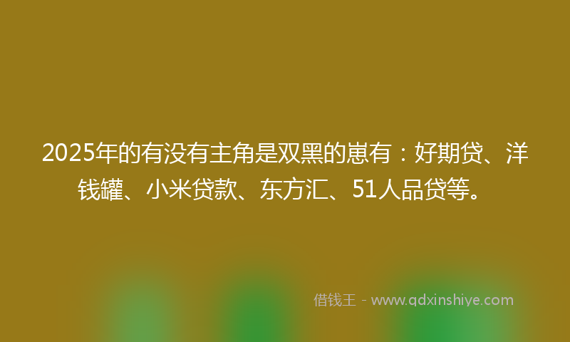 2025年的有没有主角是双黑的崽有：好期贷、洋钱罐、小米贷款、东方汇、51人品贷等。