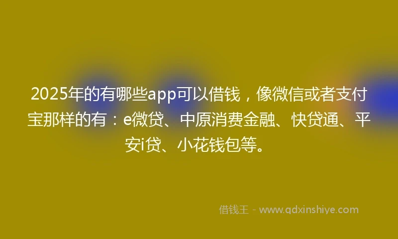 2025年的有哪些app可以借钱，像微信或者支付宝那样的有：e微贷、中原消费金融、快贷通、平安i贷、小花钱包等。