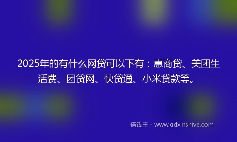 2025年的有什么网贷可以下有：惠商贷、美团生活费、团贷网、快贷通、小米贷款等。