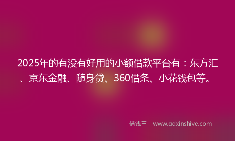 2025年的有没有好用的小额借款平台有:东方汇、京东金融、随身贷、360借条、小花钱包等。