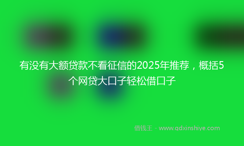 有没有大额贷款不看征信的2025年推荐，概括5个网贷大口子轻松借口子