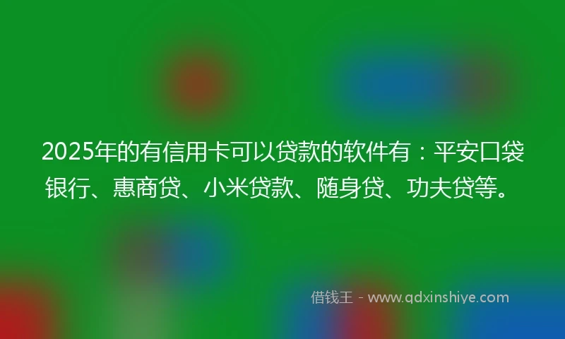 2025年的有信用卡可以贷款的软件有:平安口袋银行、惠商贷、小米贷款、随身贷、功夫贷等。