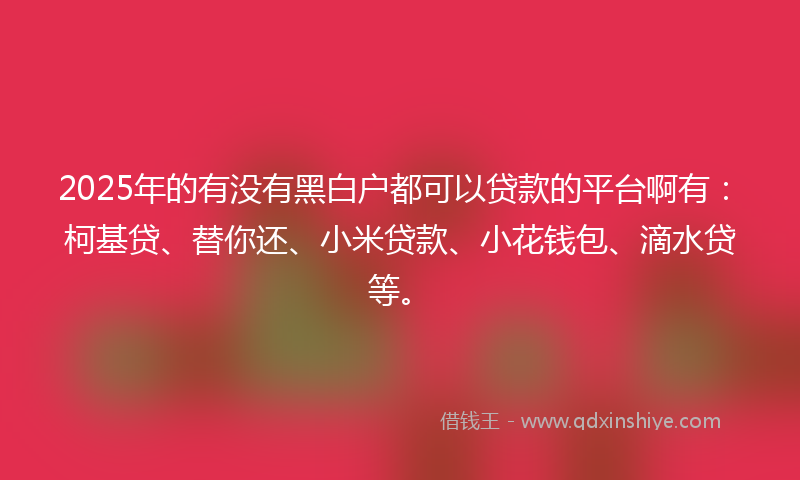2025年的有没有黑白户都可以贷款的平台啊有：柯基贷、替你还、小米贷款、小花钱包、滴水贷等。