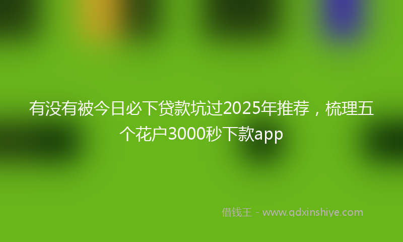 有没有被今日必下贷款坑过2025年推荐，梳理五个花户3000秒下款app