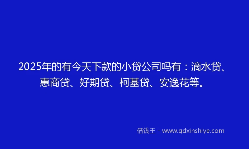 2025年的有今天下款的小贷公司吗有：滴水贷、惠商贷、好期贷、柯基贷、安逸花等。