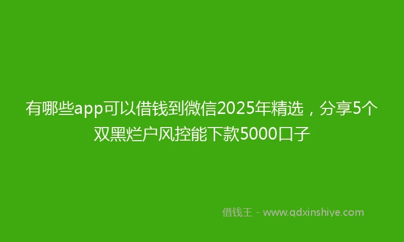 有哪些app可以借钱到微信2025年精选，分享5个双黑烂户风控能下款5000口子