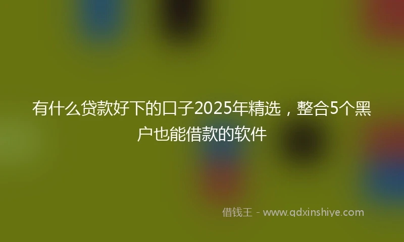 有什么贷款好下的口子2025年精选，整合5个黑户也能借款的软件
