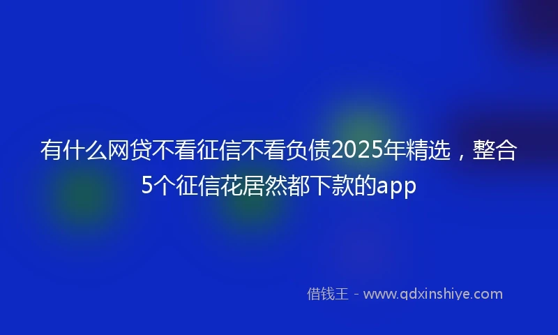 有什么网贷不看征信不看负债2025年精选，整合5个征信花居然都下款的app