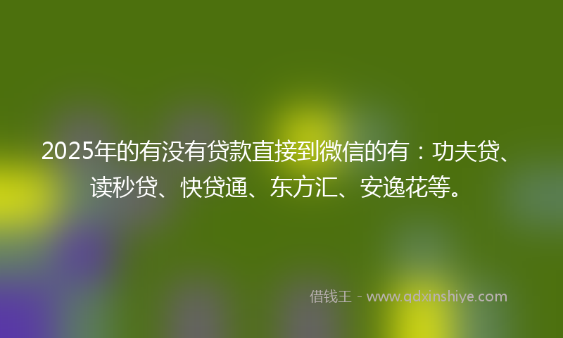 2025年的有没有贷款直接到微信的有：功夫贷、读秒贷、快贷通、东方汇、安逸花等。