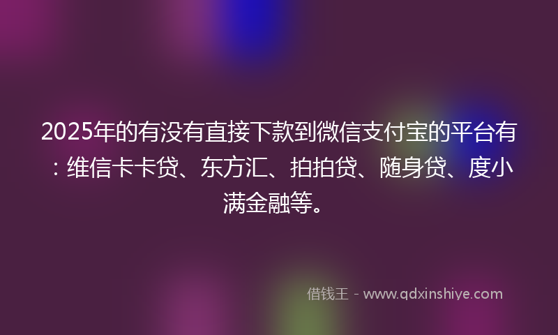 2025年的有没有直接下款到微信支付宝的平台有：维信卡卡贷、东方汇、拍拍贷、随身贷、度小满金融等。
