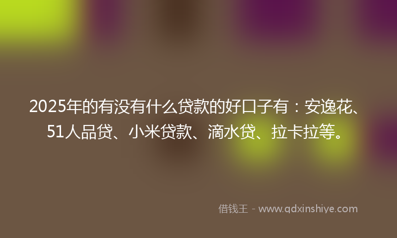 2025年的有没有什么贷款的好口子有：安逸花、51人品贷、小米贷款、滴水贷、拉卡拉等。