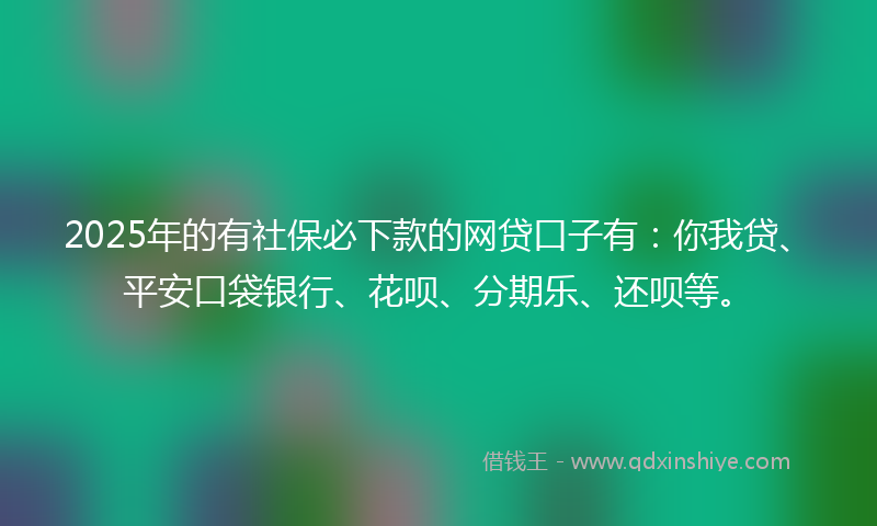 2025年的有社保必下款的网贷口子有：你我贷、平安口袋银行、花呗、分期乐、还呗等。
