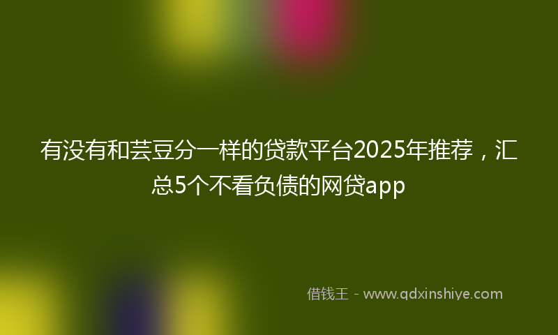 有没有和芸豆分一样的贷款平台2025年推荐,汇总5个不看负债的网贷app