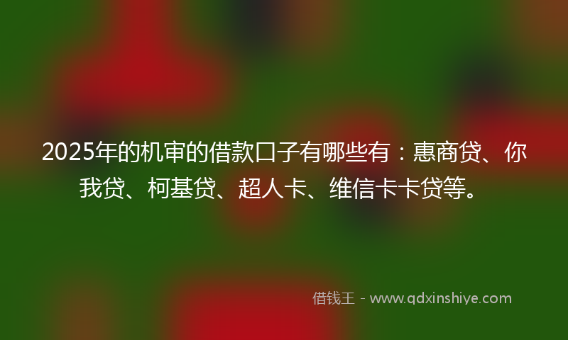 2025年的机审的借款口子有哪些有：惠商贷、你我贷、柯基贷、超人卡、维信卡卡贷等。