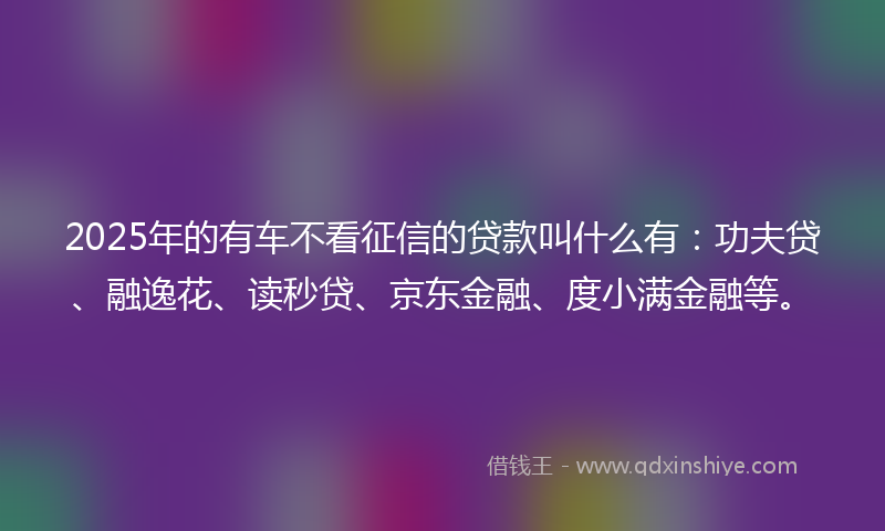 2025年的有车不看征信的贷款叫什么有：功夫贷、融逸花、读秒贷、京东金融、度小满金融等。