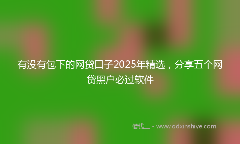 有没有包下的网贷口子2025年精选，分享五个网贷黑户必过软件