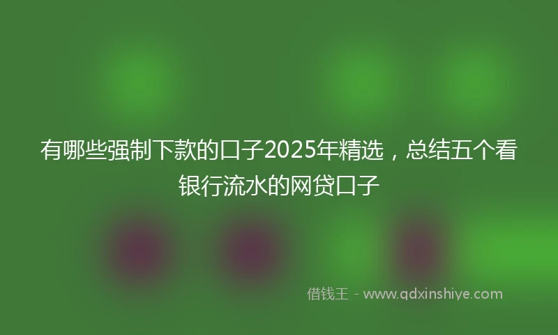 有哪些强制下款的口子2025年精选，总结五个看银行流水的网贷口子