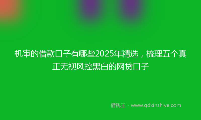 机审的借款口子有哪些2025年精选，梳理五个真正无视风控黑白的网贷口子