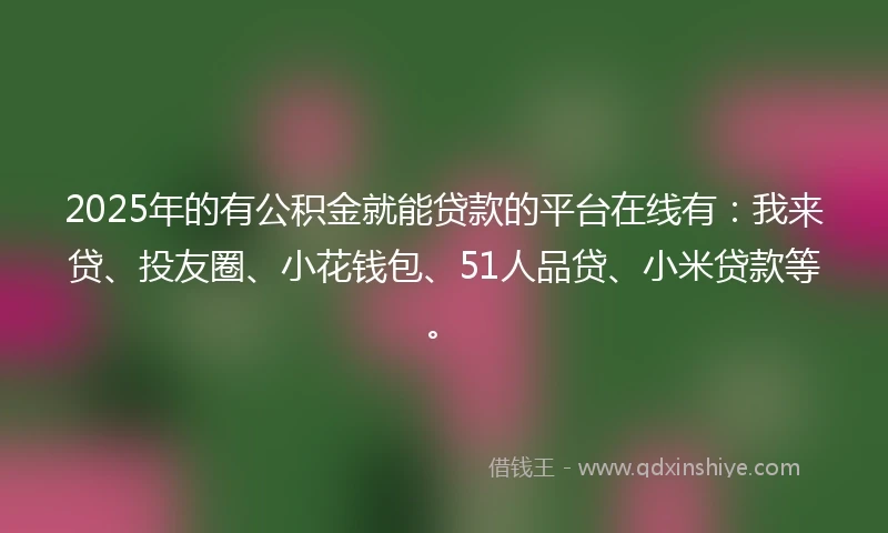 2025年的有公积金就能贷款的平台在线有：我来贷、投友圈、小花钱包、51人品贷、小米贷款等。