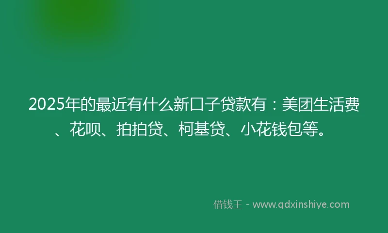 2025年的最近有什么新口子贷款有：美团生活费、花呗、拍拍贷、柯基贷、小花钱包等。