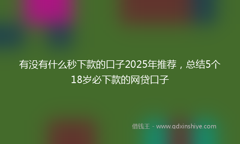 有没有什么秒下款的口子2025年推荐，总结5个18岁必下款的网贷口子