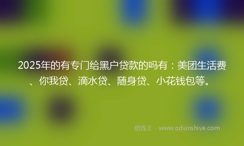 2025年的有专门给黑户贷款的吗有：美团生活费、你我贷、滴水贷、随身贷、小花钱包等。