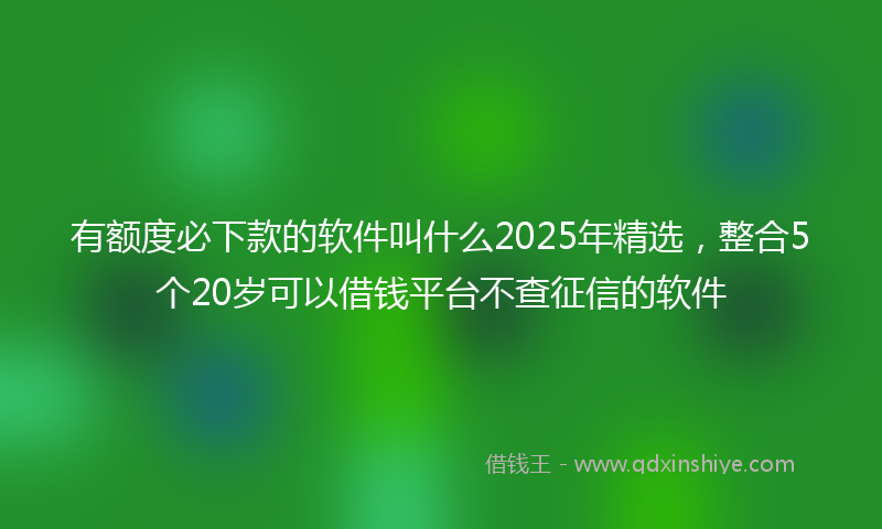 有额度必下款的软件叫什么2025年精选，整合5个20岁可以借钱平台不查征信的软件