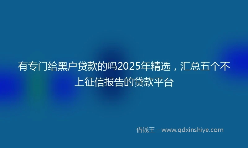 有专门给黑户贷款的吗2025年精选，汇总五个不上征信报告的贷款平台