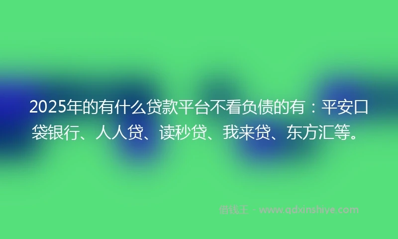 2025年的有什么贷款平台不看负债的有：平安口袋银行、人人贷、读秒贷、我来贷、东方汇等。