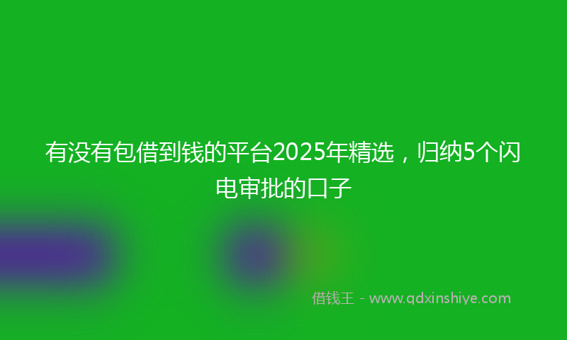 有没有包借到钱的平台2025年精选，归纳5个闪电审批的口子
