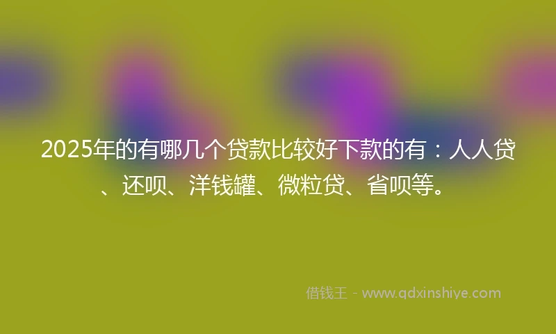 2025年的有哪几个贷款比较好下款的有：人人贷、还呗、洋钱罐、微粒贷、省呗等。