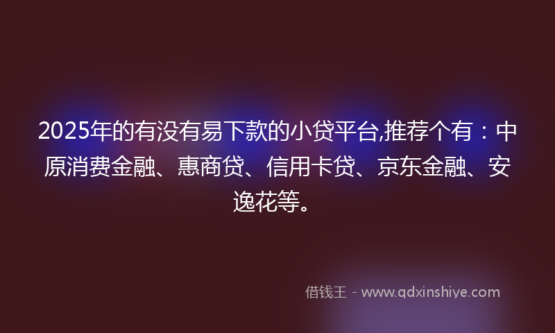 2025年的有没有易下款的小贷平台,推荐个有：中原消费金融、惠商贷、信用卡贷、京东金融、安逸花等。