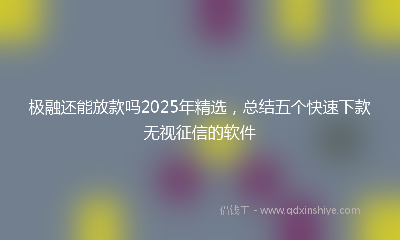 极融还能放款吗2025年精选，总结五个快速下款无视征信的软件