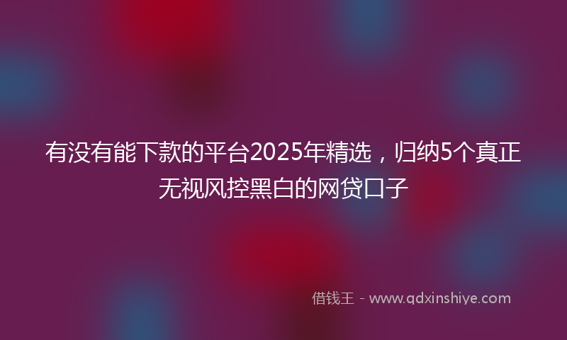 有没有能下款的平台2025年精选，归纳5个真正无视风控黑白的网贷口子