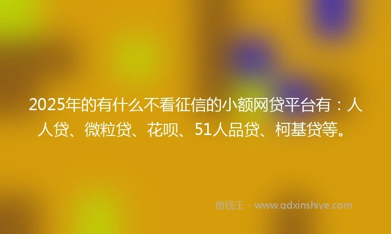 2025年的有什么不看征信的小额网贷平台有：人人贷、微粒贷、花呗、51人品贷、柯基贷等。