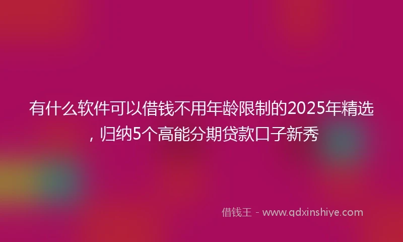 有什么软件可以借钱不用年龄限制的2025年精选，归纳5个高能分期贷款口子新秀