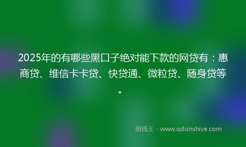 2025年的有哪些黑口子绝对能下款的网贷有：惠商贷、维信卡卡贷、快贷通、微粒贷、随身贷等。