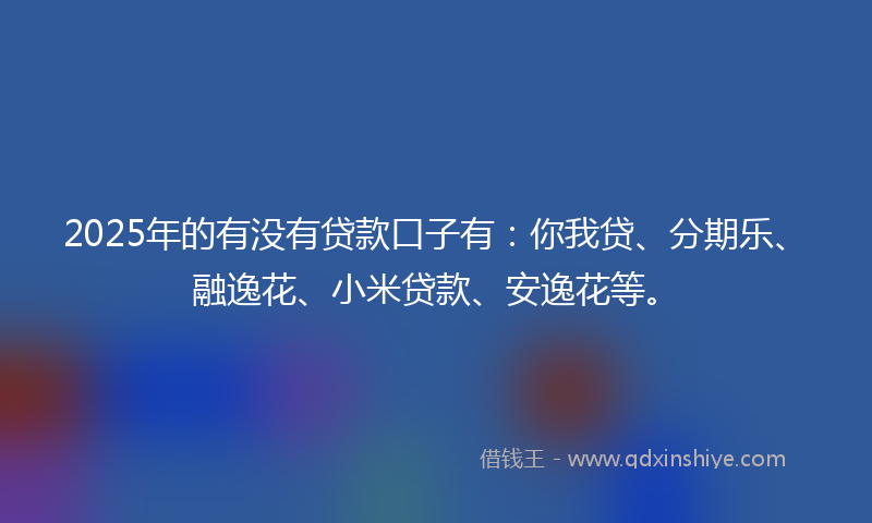 2025年的有没有贷款口子有：你我贷、分期乐、融逸花、小米贷款、安逸花等。