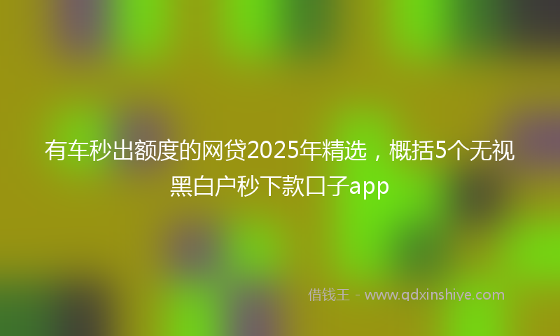 有车秒出额度的网贷2025年精选，概括5个无视黑白户秒下款口子app