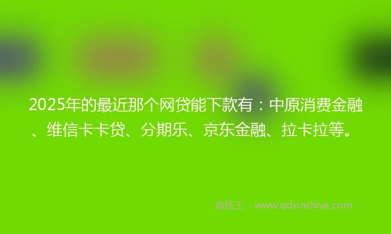 2025年的最近那个网贷能下款有：中原消费金融、维信卡卡贷、分期乐、京东金融、拉卡拉等。