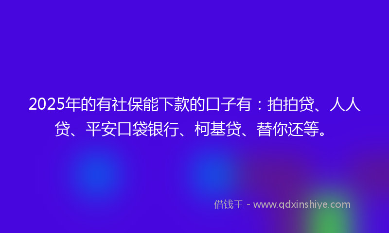 2025年的有社保能下款的口子有：拍拍贷、人人贷、平安口袋银行、柯基贷、替你还等。