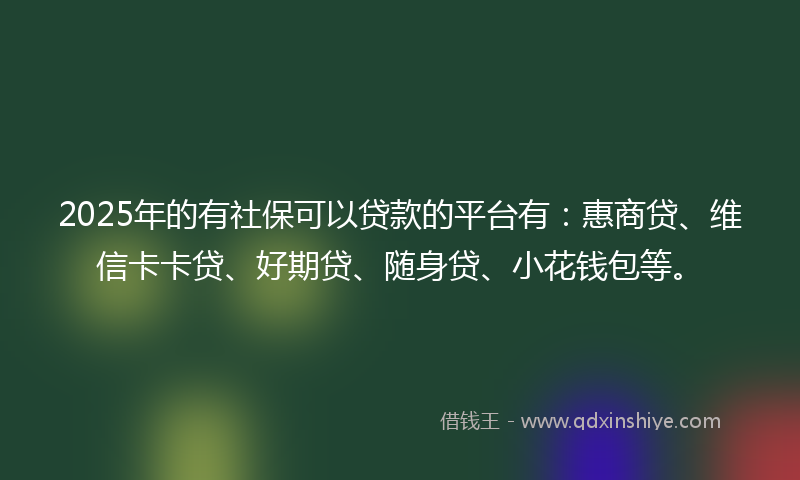 2025年的有社保可以贷款的平台有：惠商贷、维信卡卡贷、好期贷、随身贷、小花钱包等。