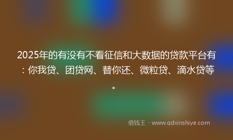 2025年的有没有不看征信和大数据的贷款平台有：你我贷、团贷网、替你还、微粒贷、滴水贷等。