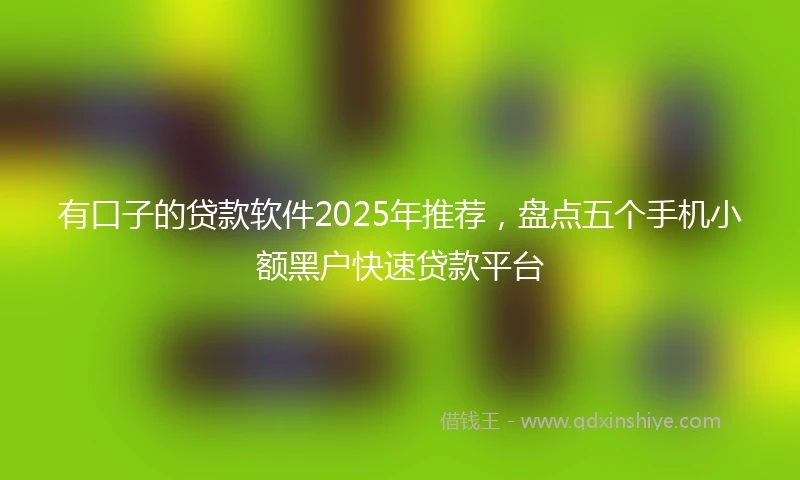 有口子的贷款软件2025年推荐，盘点五个手机小额黑户快速贷款平台