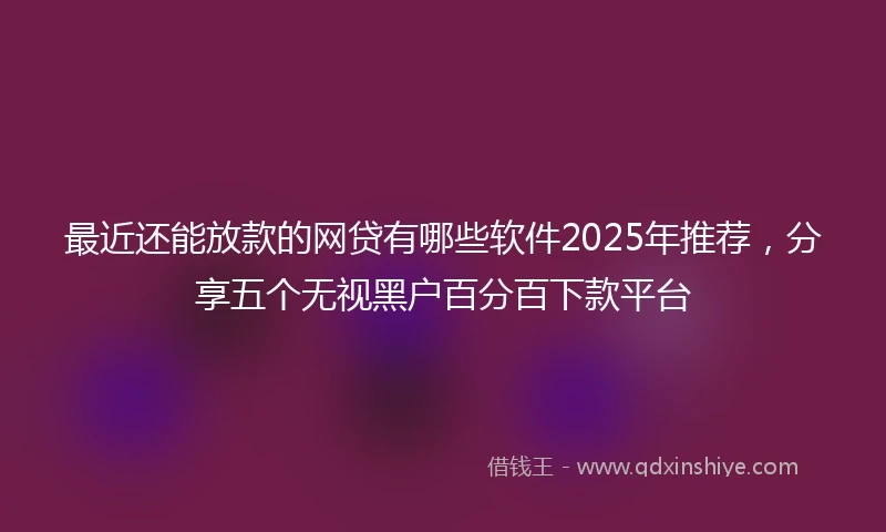 最近还能放款的网贷有哪些软件2025年推荐，分享五个无视黑户百分百下款平台